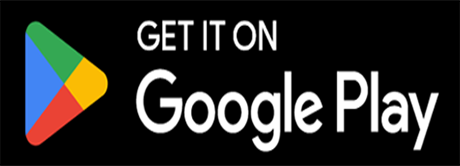 Google Play Store Logo